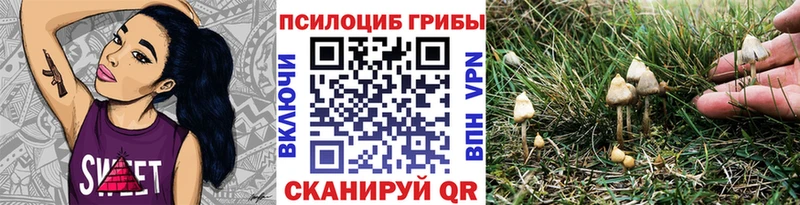 мориарти формула  купить   Новая Усмань  Галлюциногенные грибы Cubensis 
